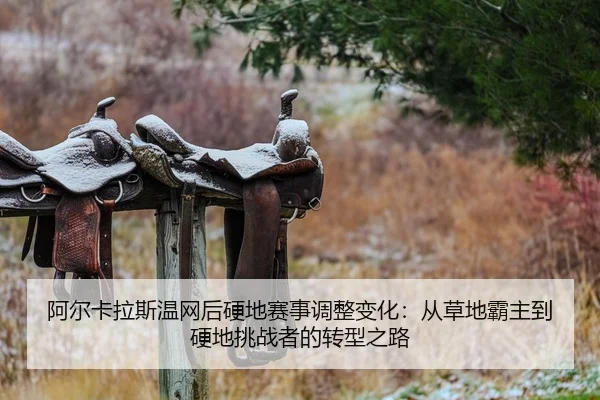 a-er-ka-la-si-wen-wang-hou-ying-di-sai-shi-tiao-zheng-bian-hua-cong-cao-di-ba-zhu-dao-ying-di-tiao-zhan-zhe-de-zhuan-2-245.jpg