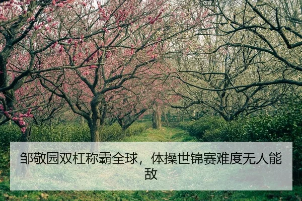 邹敬园双杠称霸全球，体操世锦赛难度无人能敌