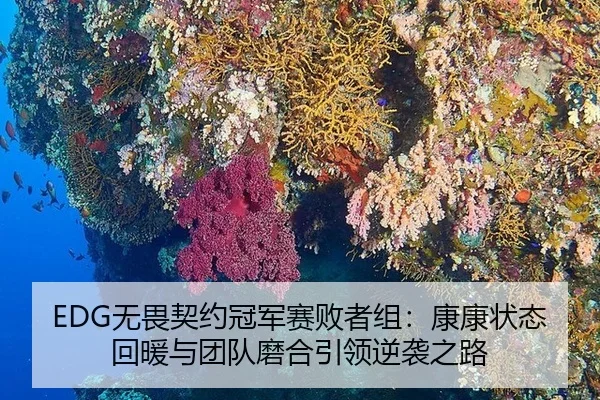 wu-wei-qi-yue-guan-jun-sai-bai-zhe-zu-kang-kang-zhuang-tai-hui-nuan-yu-tuan-dui-mo-he-yin-ling-ni-xi-zhi-lu-3-993.jpg